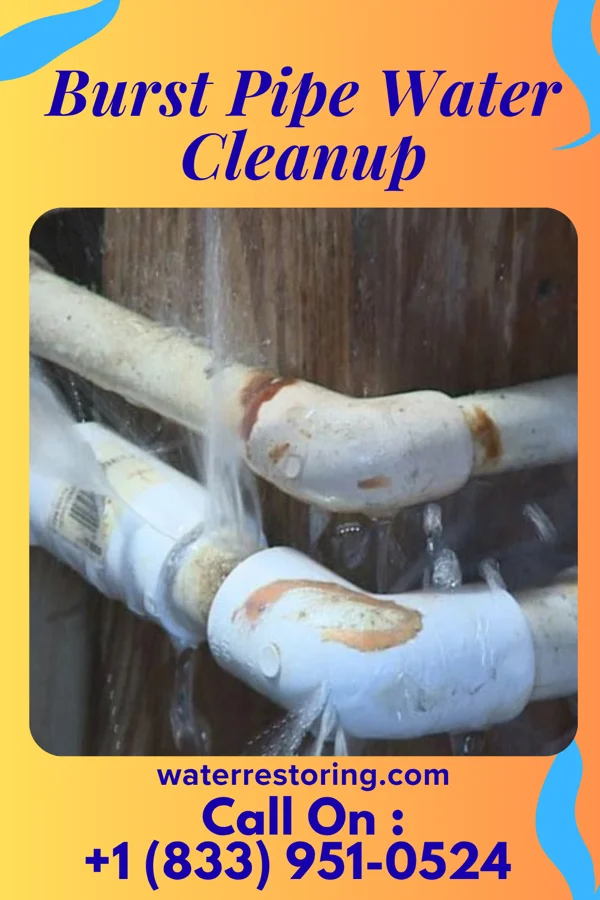 Burst Pipe Water Cleanup in Gloucester Courthouse, VA
