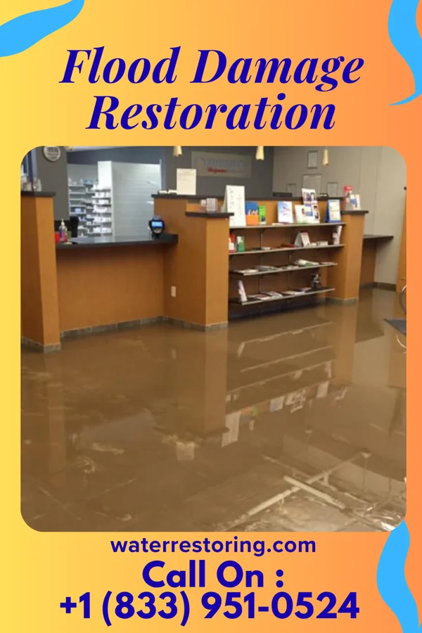 Flood Damage Restoration in Gloucester Courthouse, VA