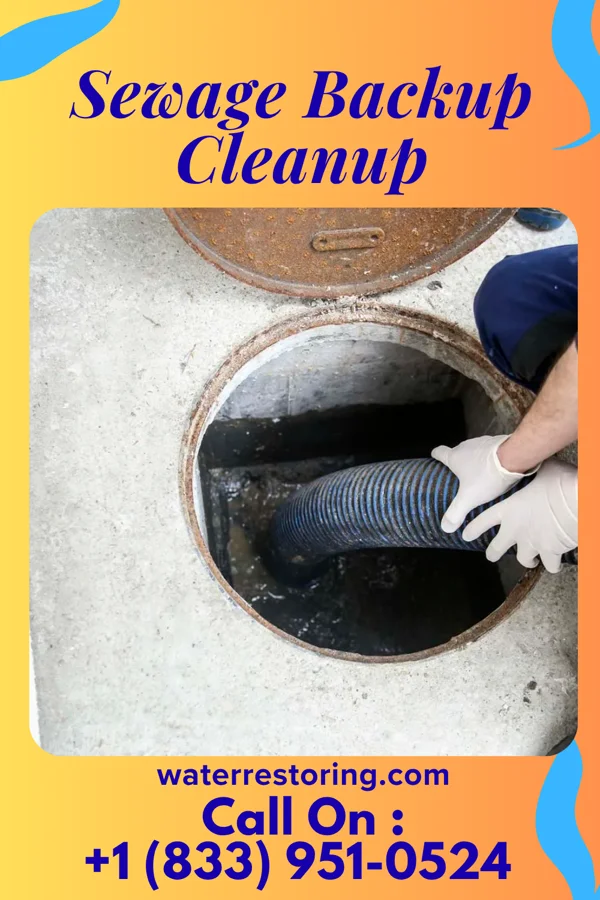 Sewage Backup Cleanup in Gloucester Courthouse, VA