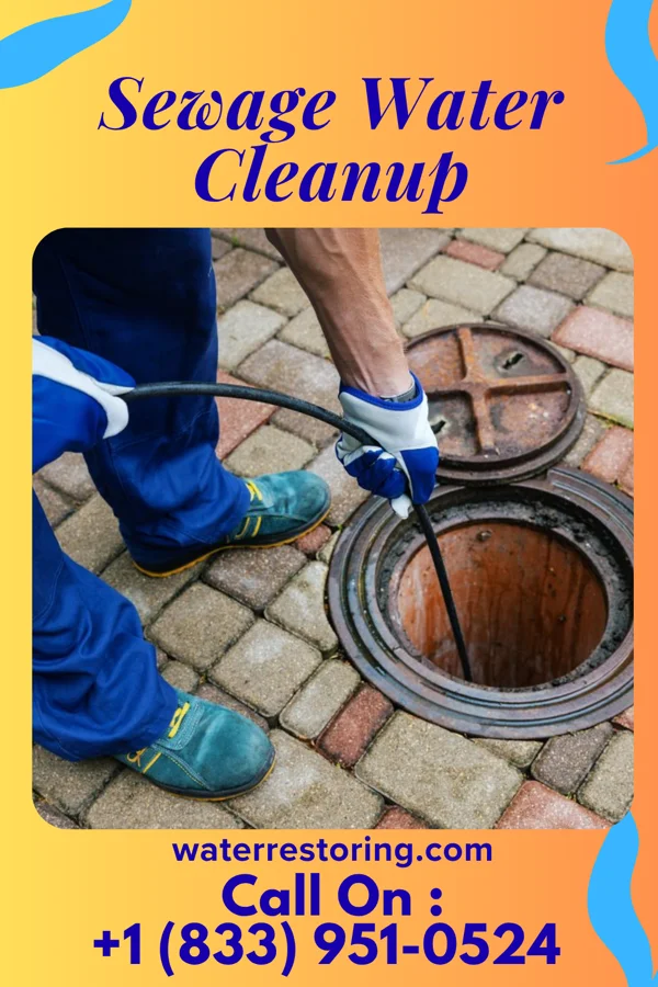 Sewage Water Cleanup in Gloucester Courthouse, VA